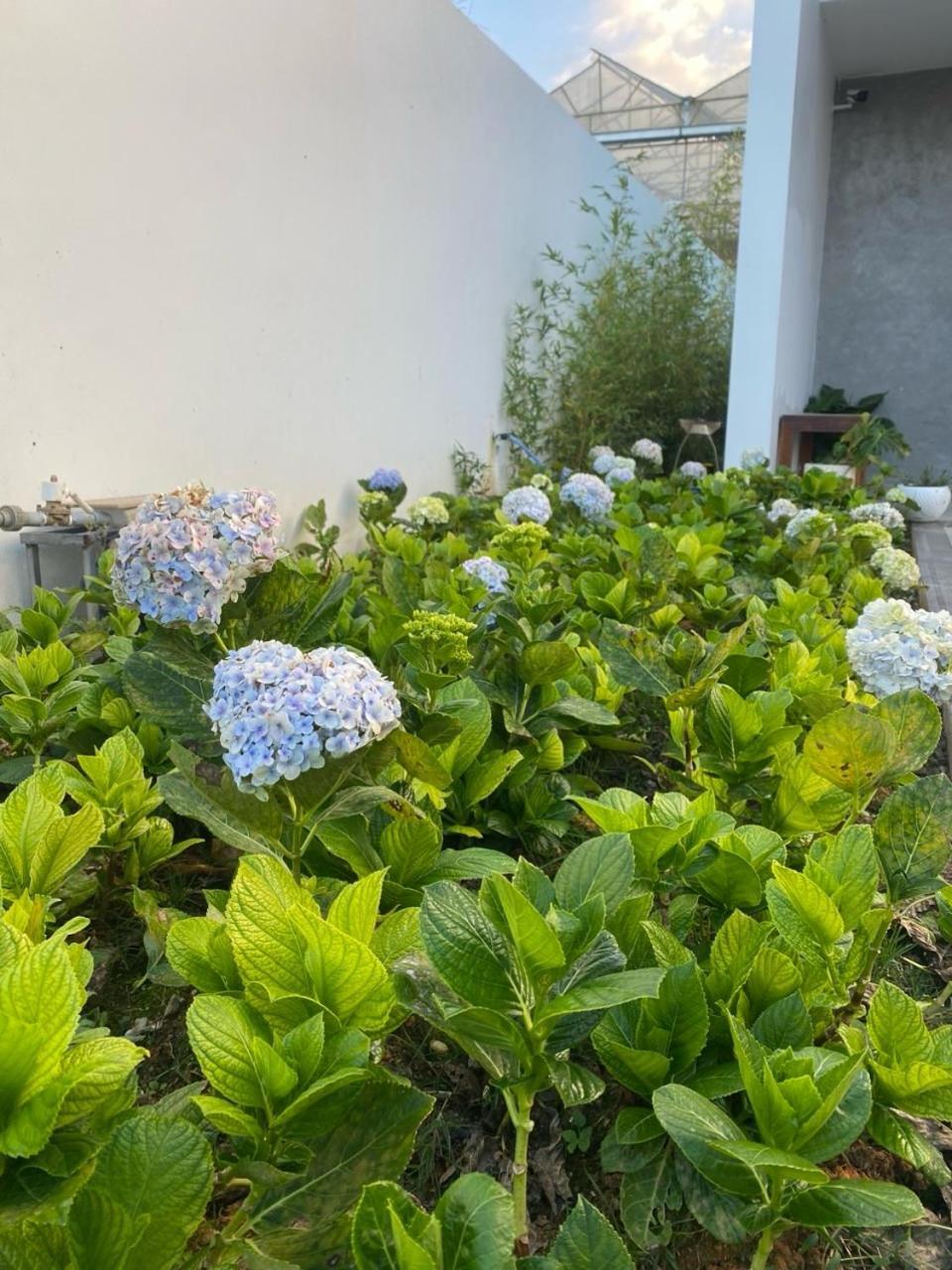 Ekehaus Da Lat Hotell Khu Chi Lăng Exteriör bild